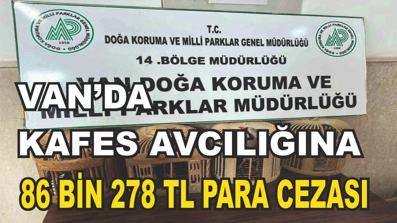 Van’da keklik avlayan şahsa para cezası