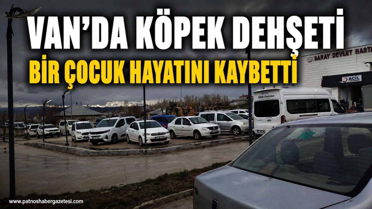 Van’da köpek dehşeti! 5 yaşındaki çocuk hayatını kaybetti