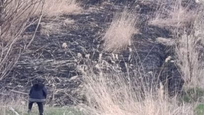 Van’da sazlık alanda yangın