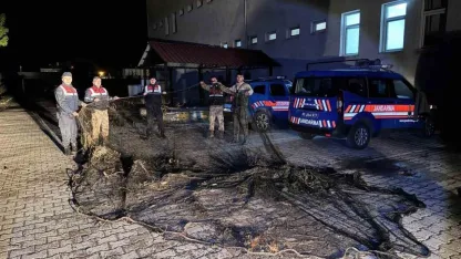 Van’da kaçak avlanan 800 kilo balık ele geçirildi