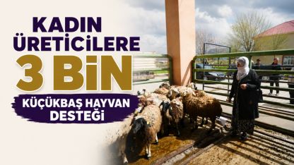 Muşlu kadın üreticilere 3 bin küçükbaş hayvan desteği