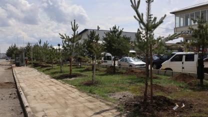 Ağrı’da Ağaçlandırma ve Altyapı Çalışmaları Sürüyor