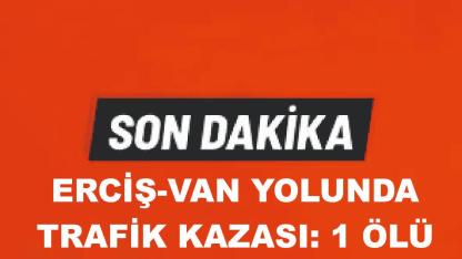 Erciş-Van Karayolunda Kaza ;1 Ölü (Videolu Haber)