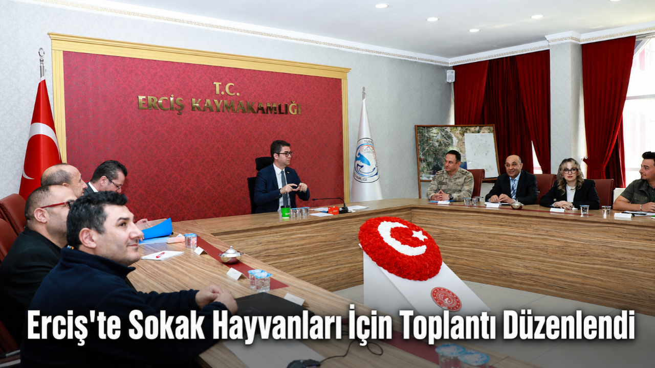 Erciş’te Sokak Hayvanları İçin Değerlendirme Toplantısı Yapıldı