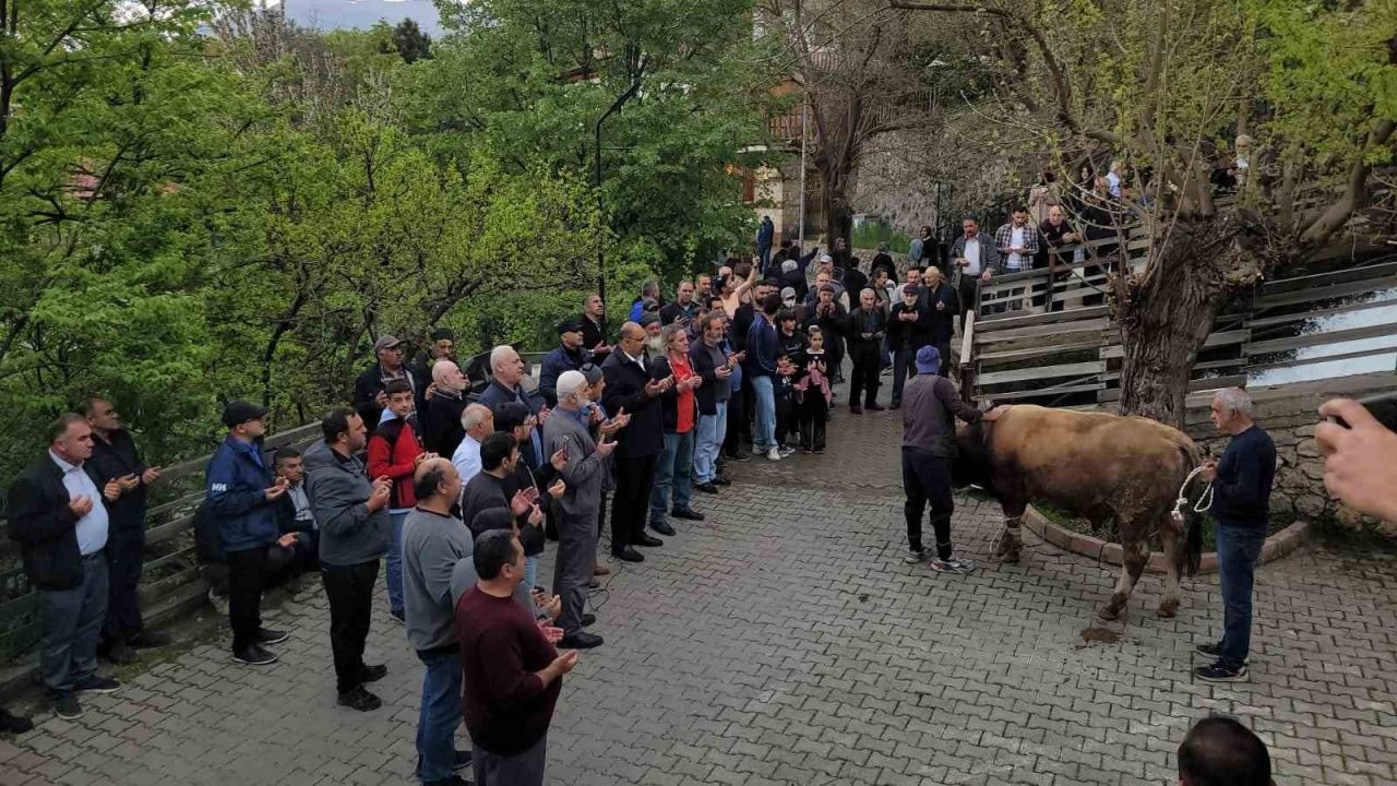 Geçmişten günümüze: Kemaliye’de şükür kurbanı