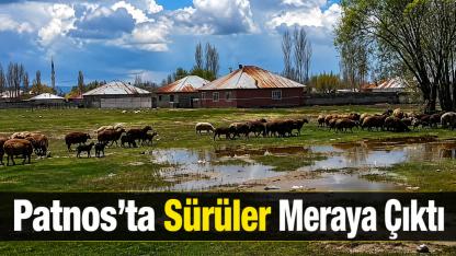 Patnos’ta Doğa Yeniden Canlandı
