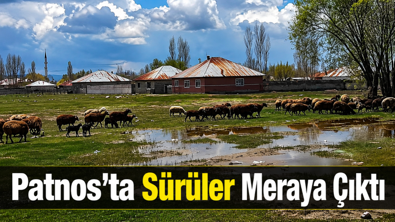Patnos’ta Doğa Yeniden Canlandı