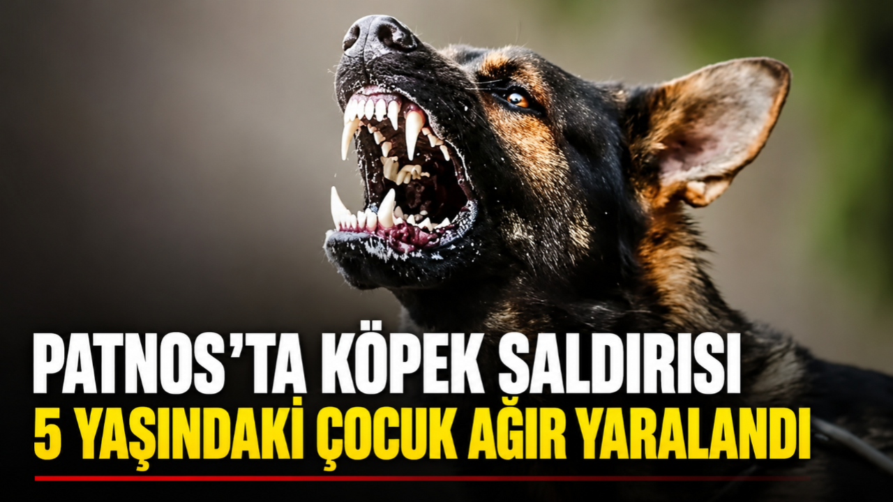 Patnos’ta Köpek Saldırısı