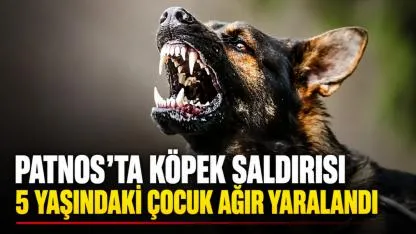 Patnos’ta Köpek Saldırısı