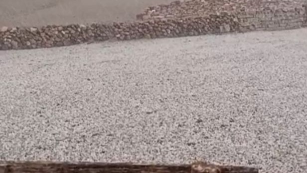 Sağanak ve dolu sonrası sel: Hayvanlar son anda kurtarıldı