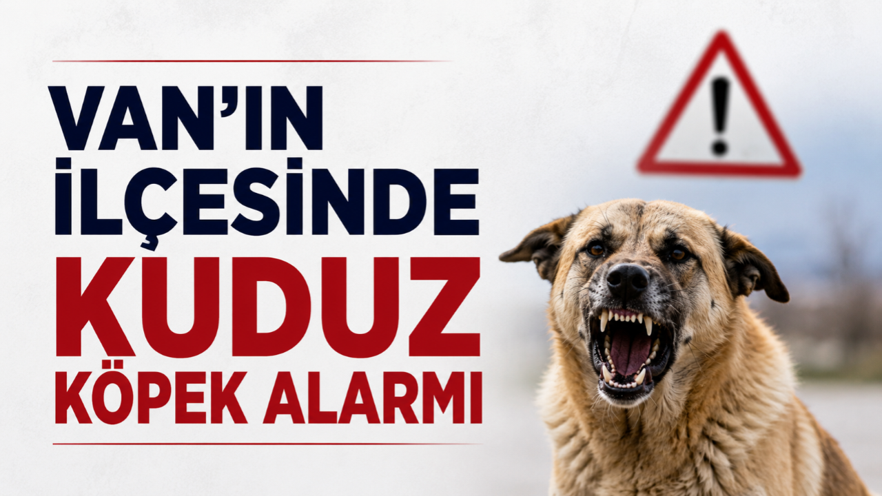 Van’ın İlçesinde Kuduz Köpek Alarmı