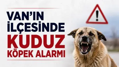 Van’ın İlçesinde Kuduz Köpek Alarmı