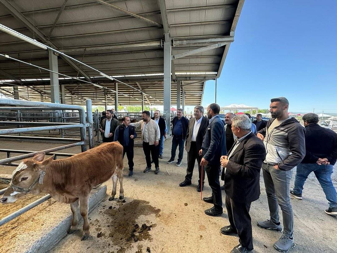 Başkan Taşkın'dan Patnos Hayvan Borsası Sakinlerine Müjde