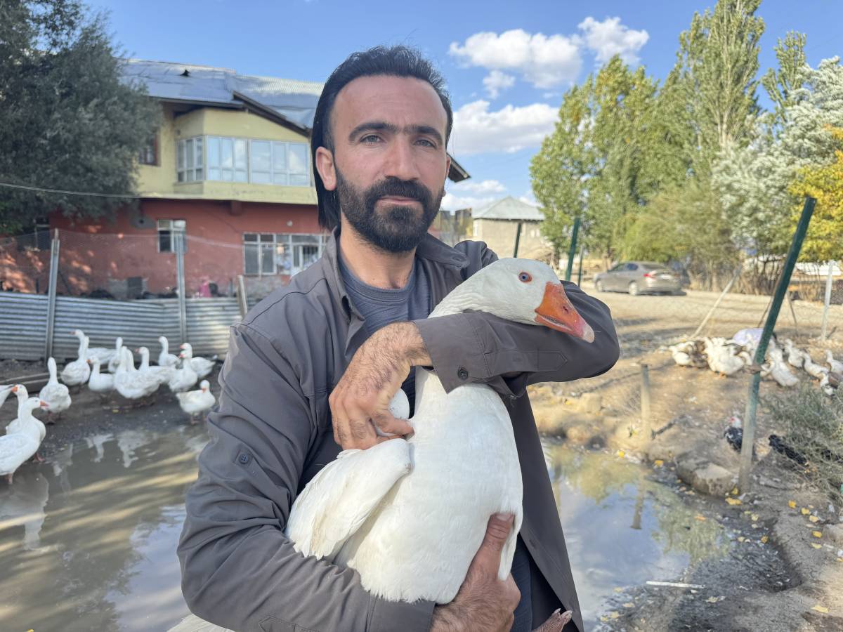 Ağrılı Girişimciden Örnek Başarı: 40 Tavukla Başladı, 2 Bin Hayvana Ulaştı
