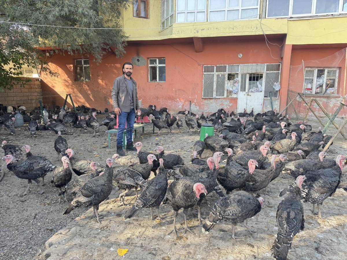 Ağrılı Girişimciden Örnek Başarı: 40 Tavukla Başladı, 2 Bin Hayvana Ulaştı