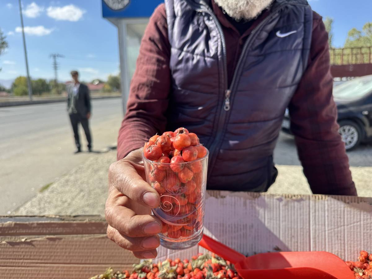 Ağrı’da Sonbaharın Doğal Lezzetleri Tezgâhlarda Yerini Aldı