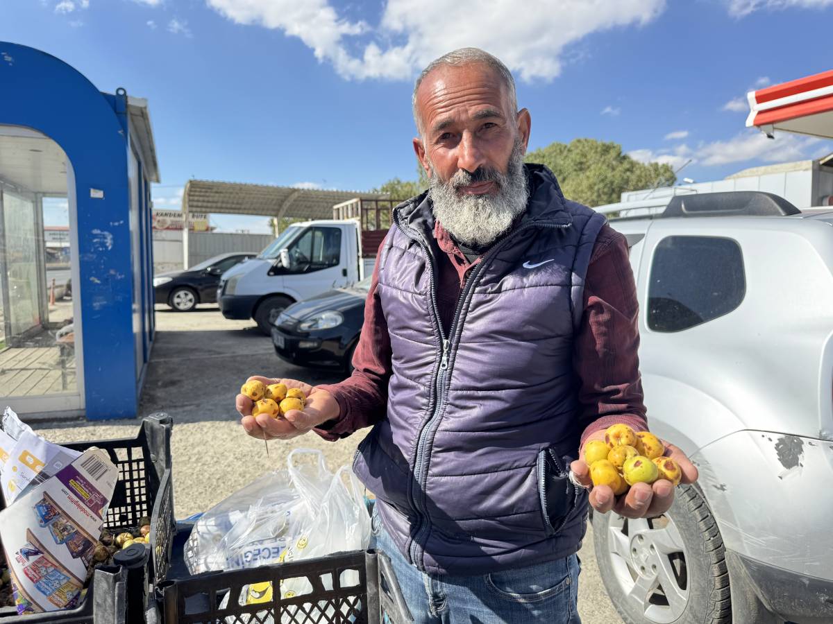 Ağrı’da Sonbaharın Doğal Lezzetleri Tezgâhlarda Yerini Aldı