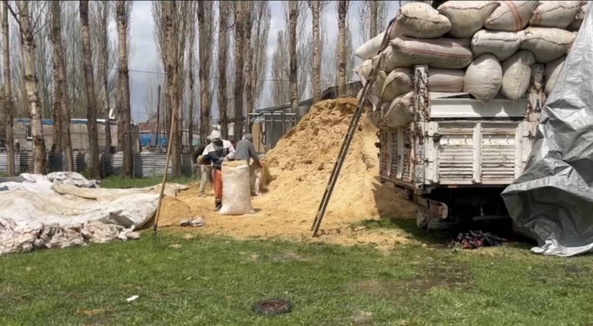 Ağrı’da besiciler kış telaşında