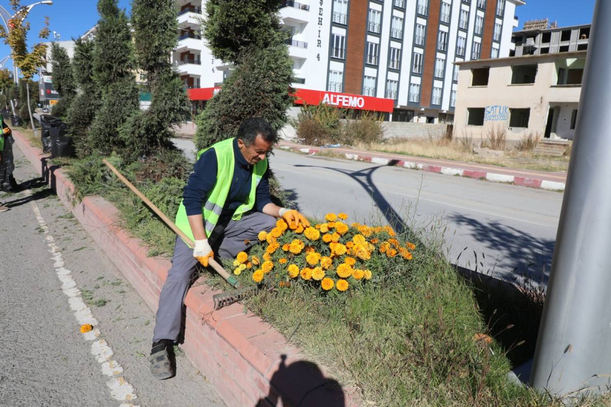 Erciş Belediyesi’nden Vanyolu Caddesi’nde Çevre Düzenleme Çalışması