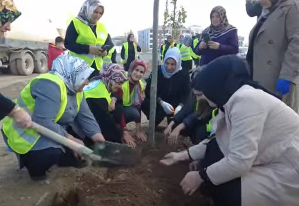 Kadınlar Erciş’te Meşe Fidanı Dikti