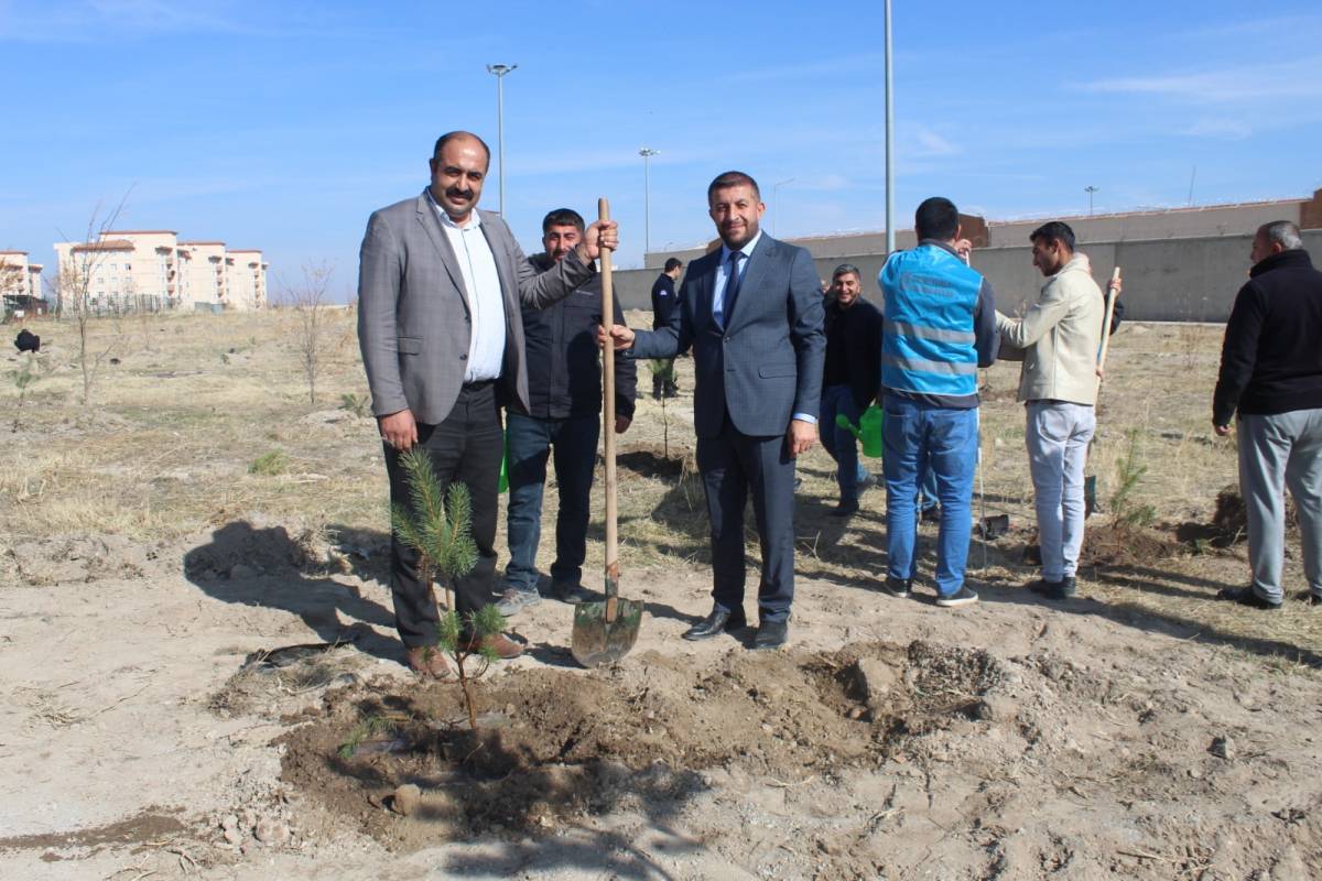 Patnos İlçe Müftüsü, Kamali Fidan Dikim Etkinliği'ne Katıldı.