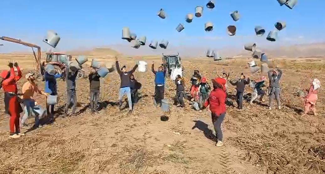 Patnos'ta Patatates Hasadı Son buldu (videolu Haber)