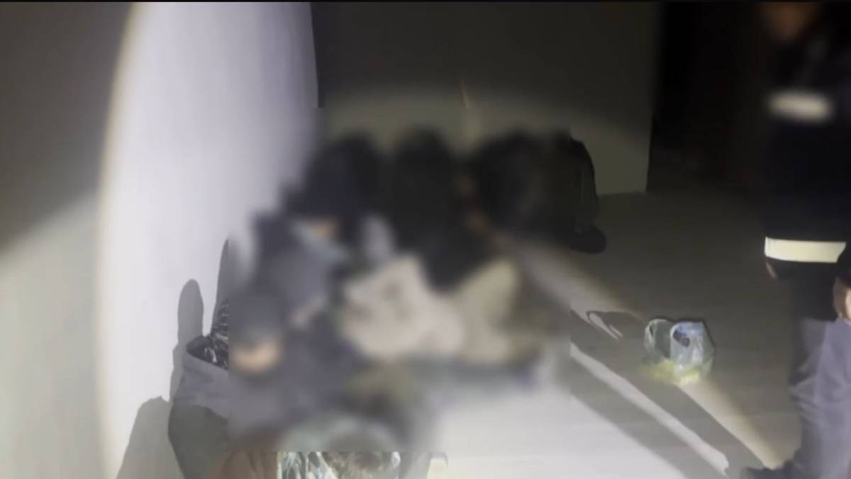 Doğubayazıt’ta 24 düzensiz göçmen yakalandı