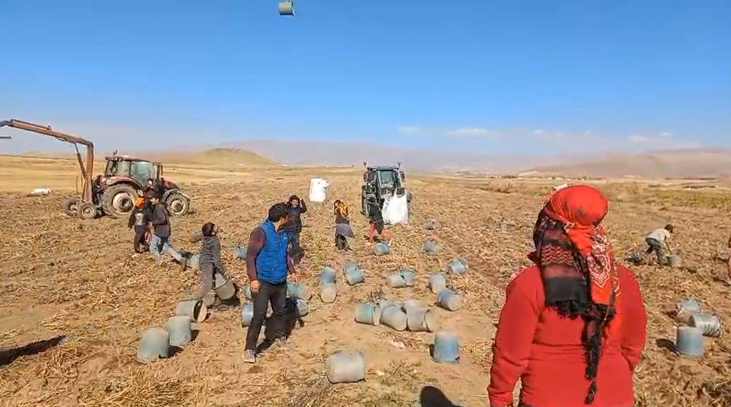 Patnos'ta Patatates Hasadı Son buldu (videolu Haber)