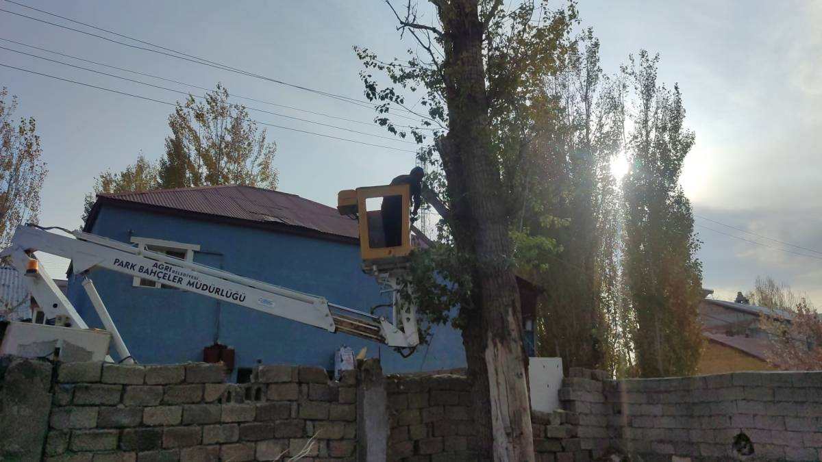 Ağrı’da Ağaçlara ‘Kış Bakımı’