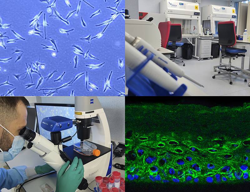 Dermo-Kozmetikte Üç Kırmızı Çizgi Dönemi