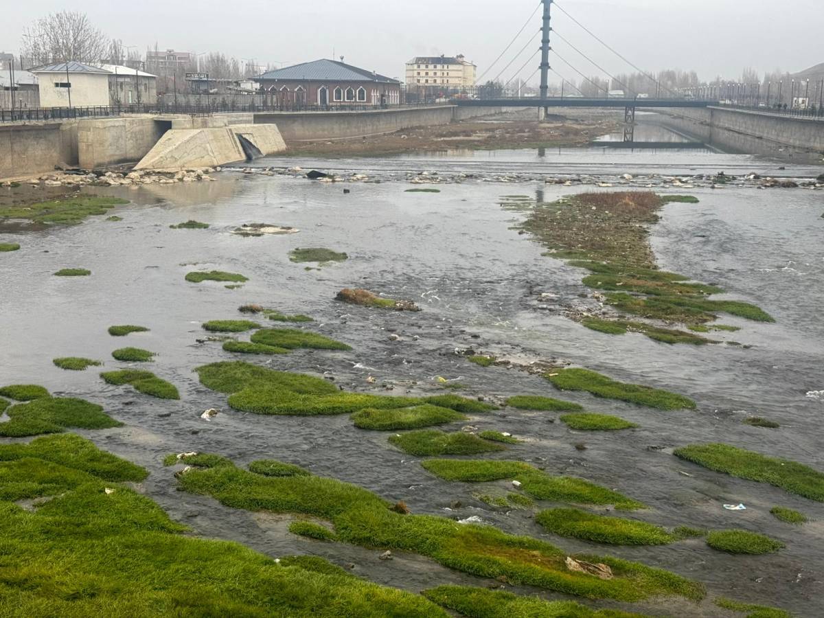 Ağrı’da Murat Nehri Yeşil Dokusu Dikkat Çekiyor