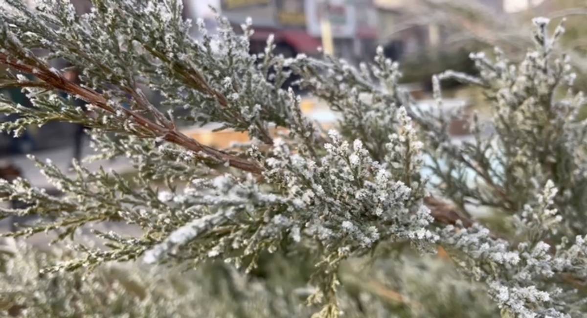 Ağrı’da Buz Gibi Gece