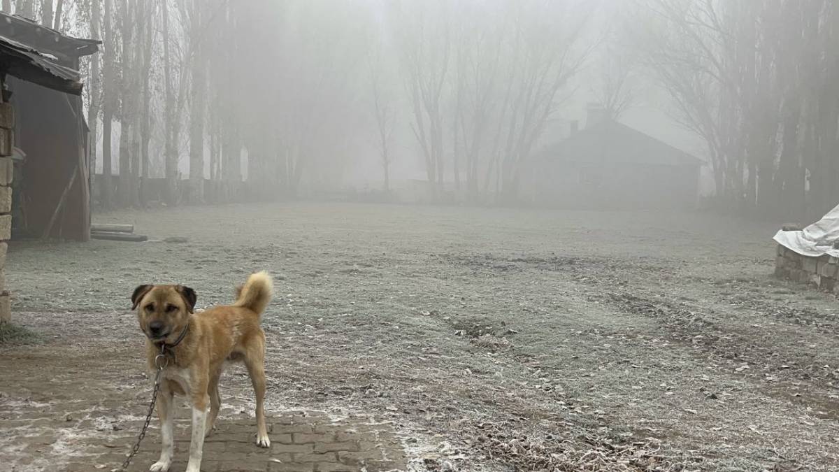Ağrı’da Buz Gibi Gece