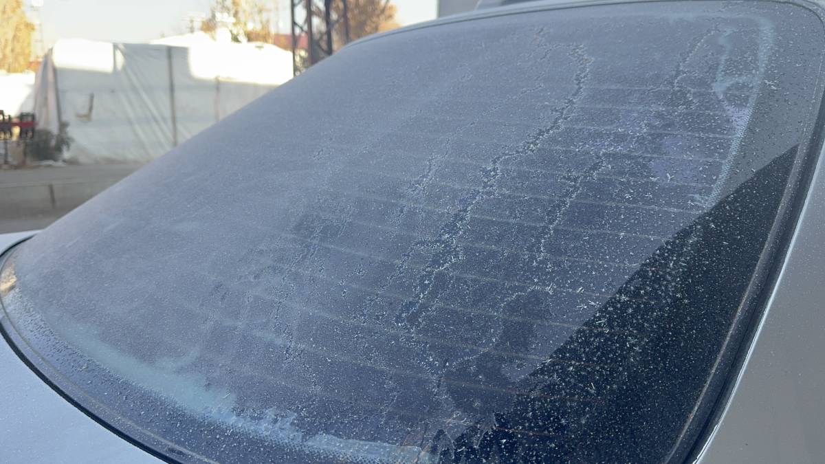 Ağrı’da Bitkiler Kırağı Tuttu