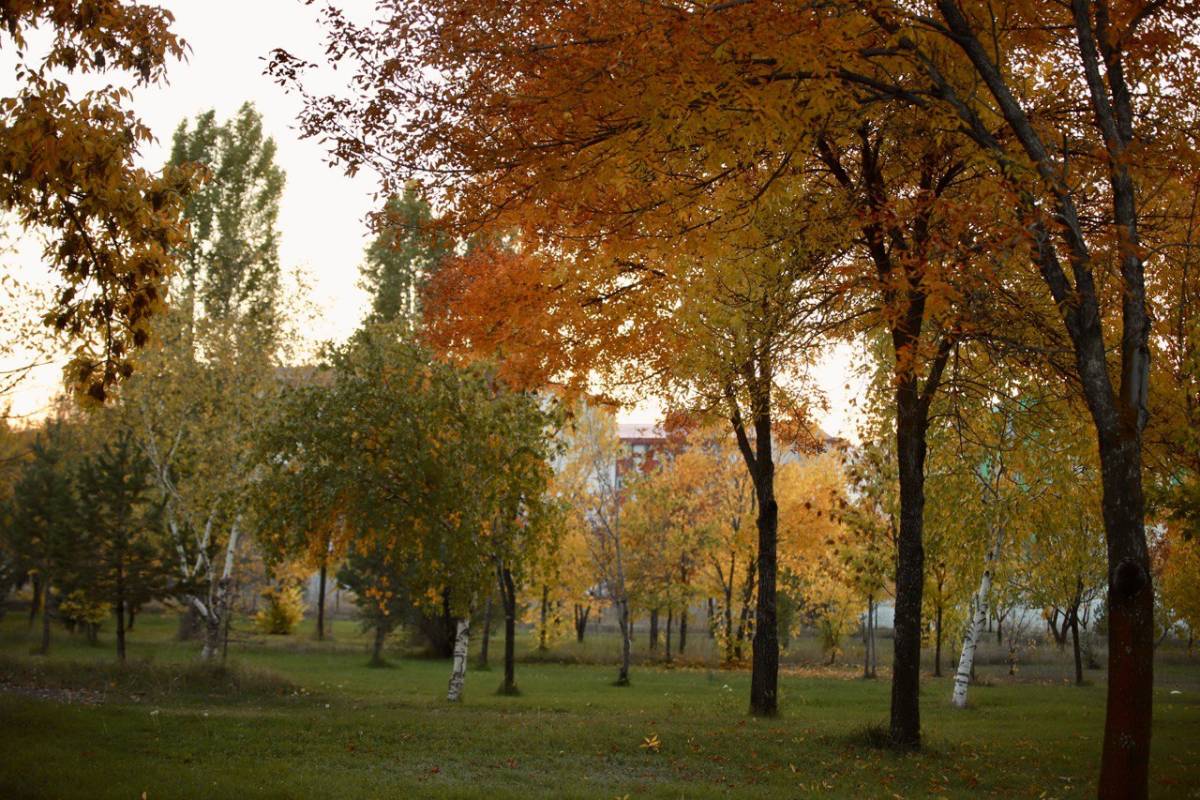 Ağrı’da Sonbaharın Büyüsü
