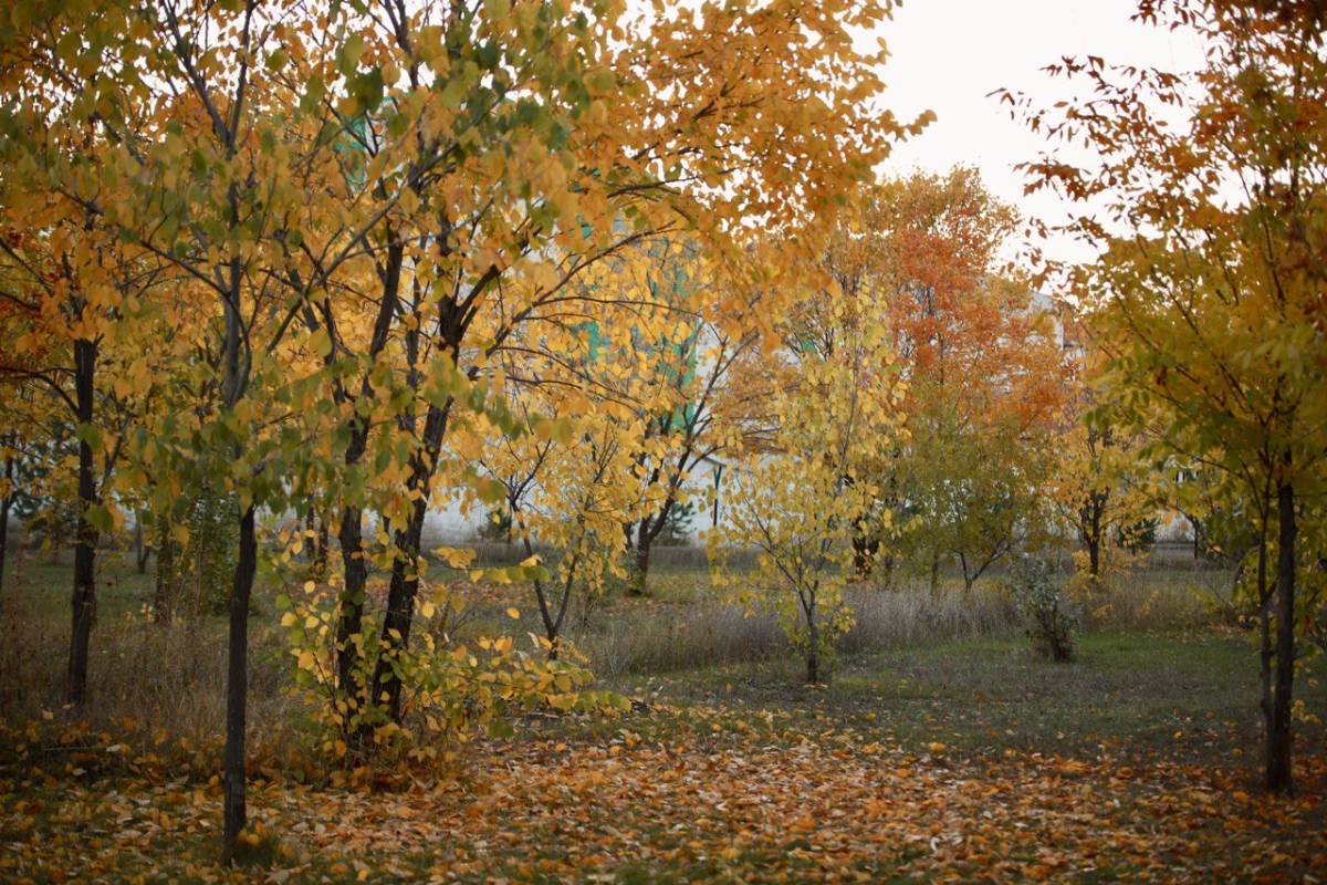 Ağrı’da Sonbaharın Büyüsü