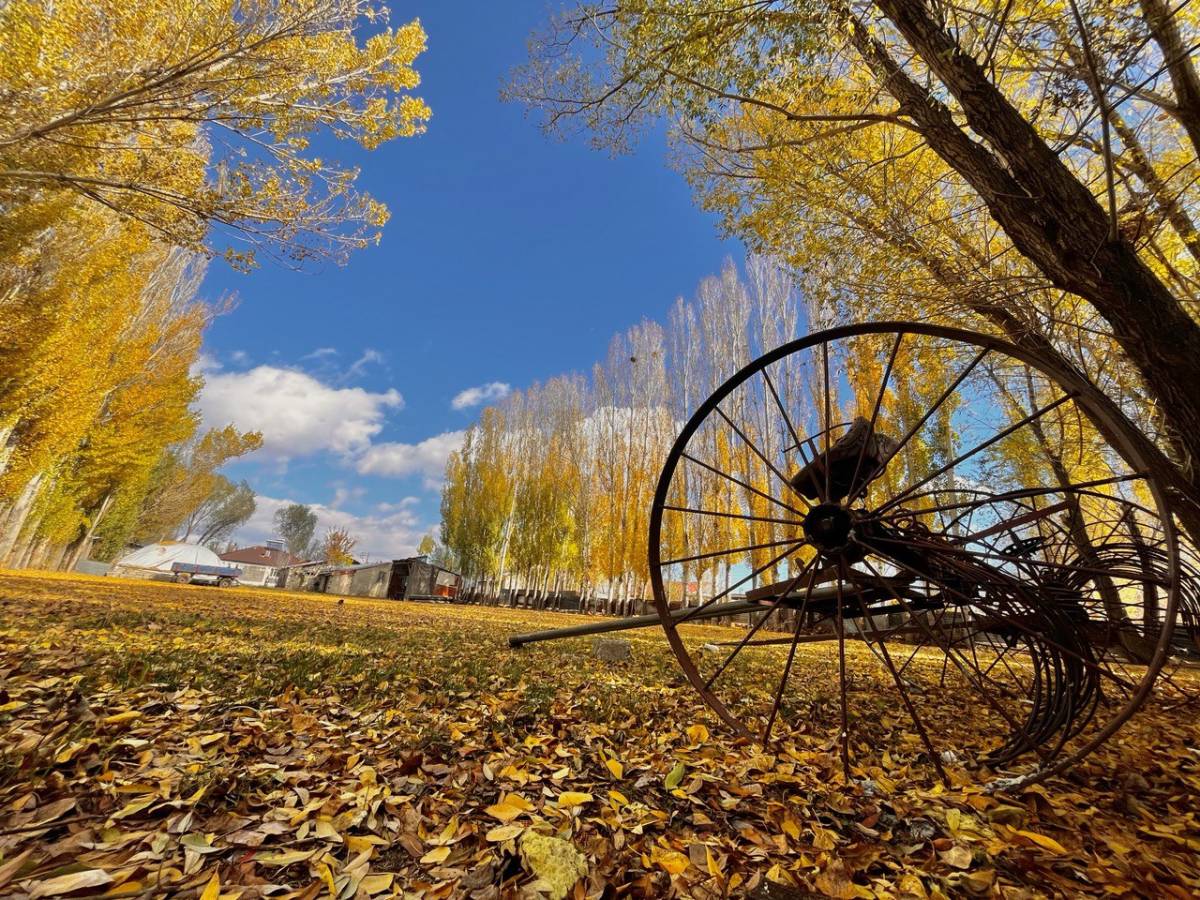 Ağrı’da Sonbaharın Büyüsü