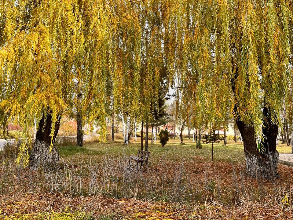 Ağrı’da Sonbaharın Büyüsü