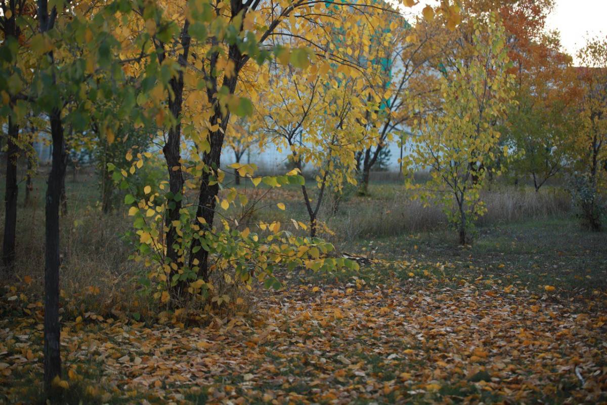 Ağrı’da Sonbaharın Büyüsü