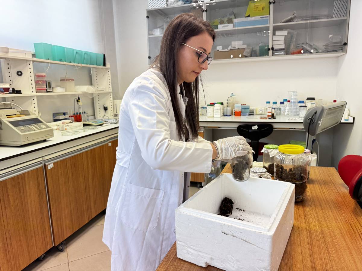 Ağrı’da Bilimsel Atılım