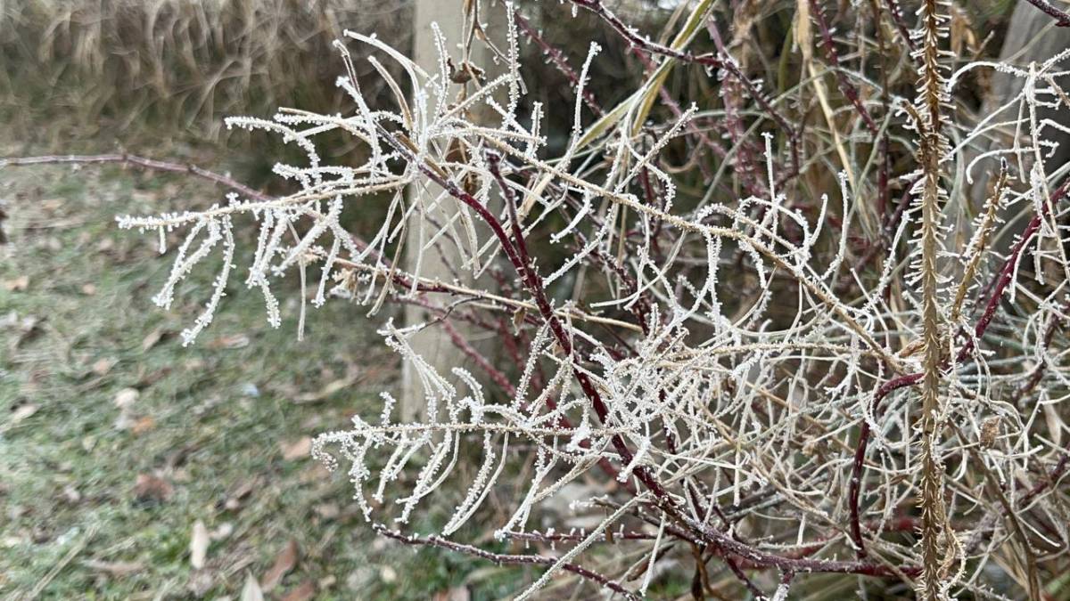 Ağrı’da Dondurucu Soğuk Etkisini Artırdı