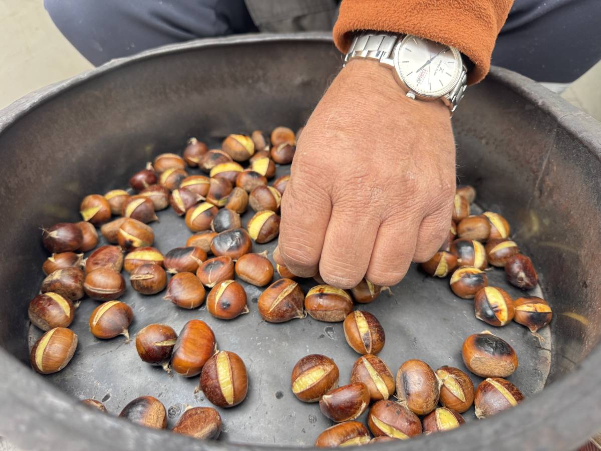Ağrı’nın Soğuk Havasında Tezgahların Vazgeçilmezi