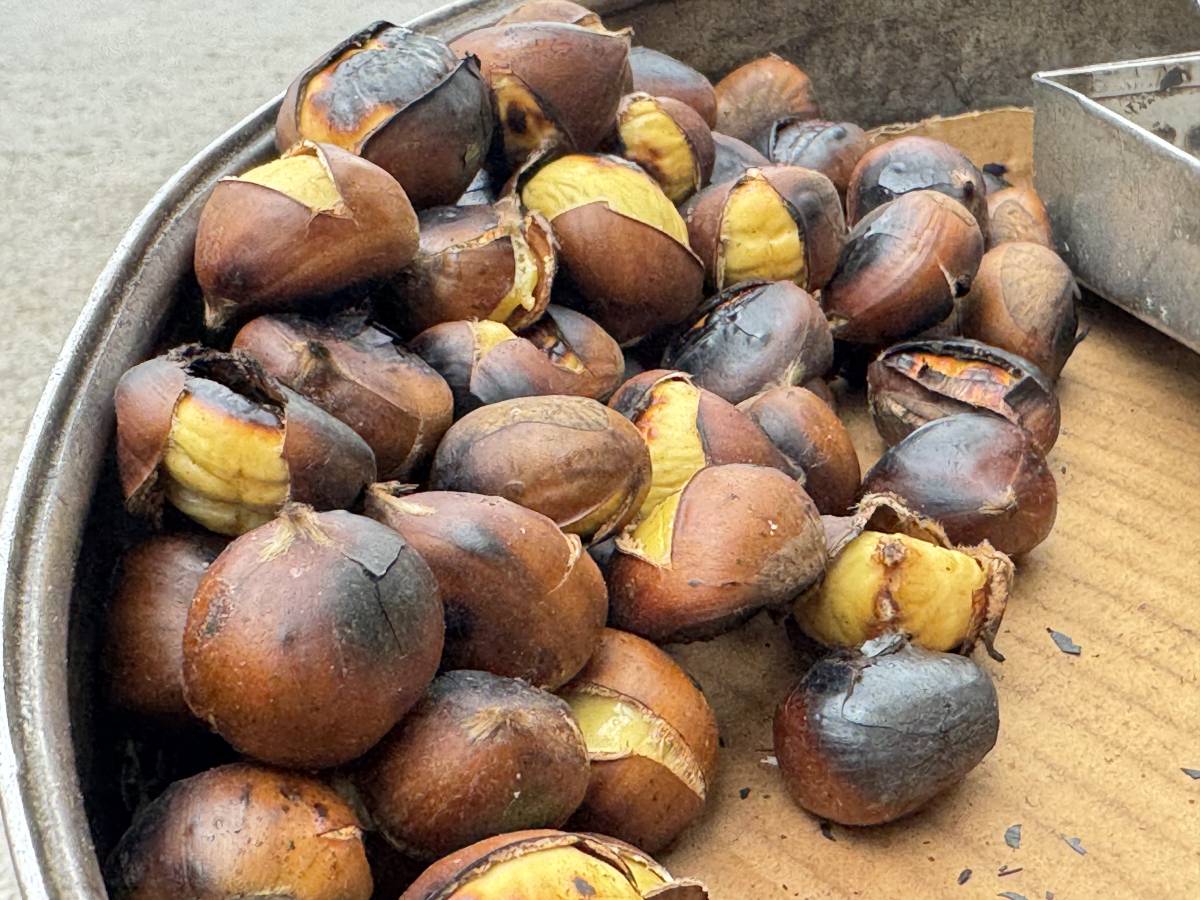 Ağrı’nın Soğuk Havasında Tezgahların Vazgeçilmezi