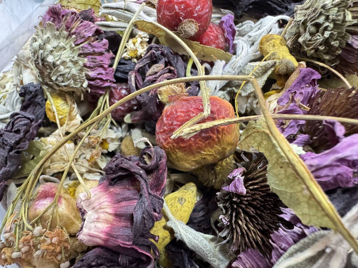 Ağrı’da Soğuk Algınlığına Karşı Doğal Çözüm,“Kış Çayları”