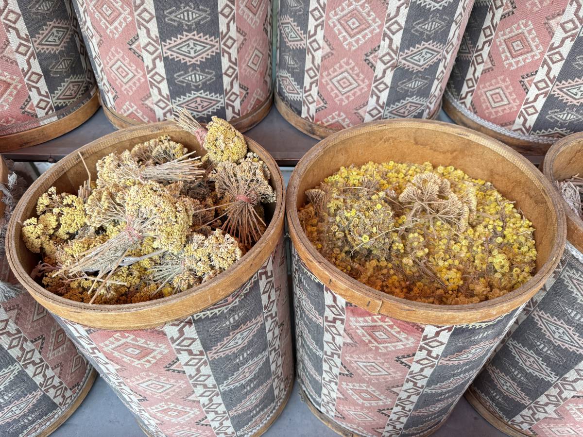 Ağrı’da Soğuk Algınlığına Karşı Doğal Çözüm,“Kış Çayları”