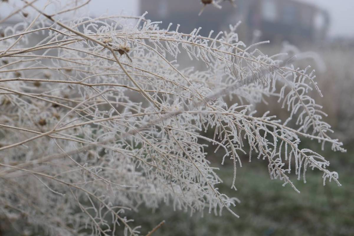 Eksi 2 Derece Soğuk Ağrı’yı Dondurdu