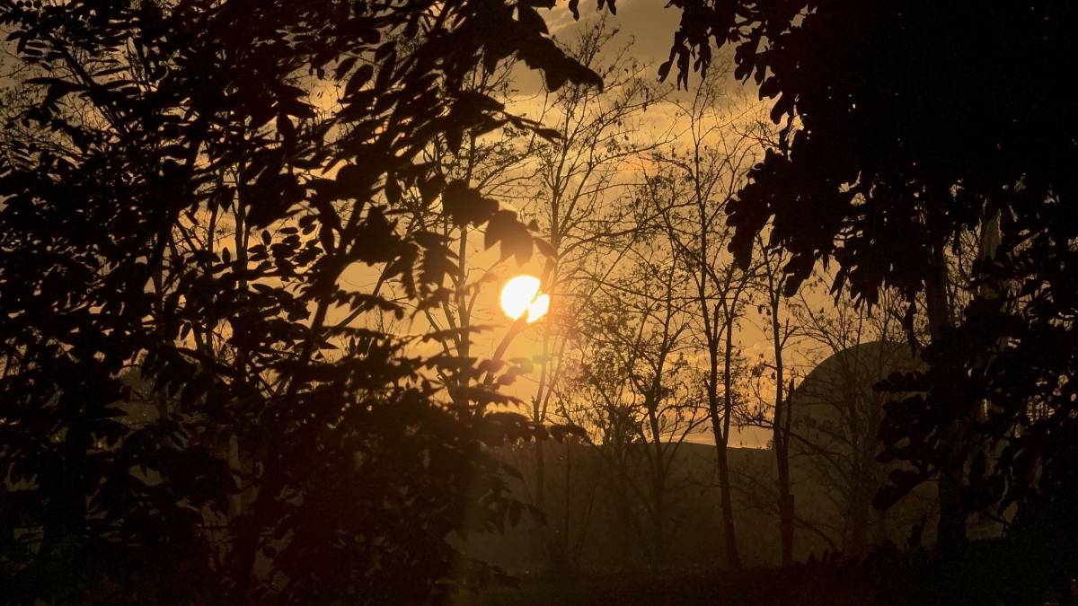 Sonbahar Güneşi Ağrı’da Vatandaşları Parklara Çekti