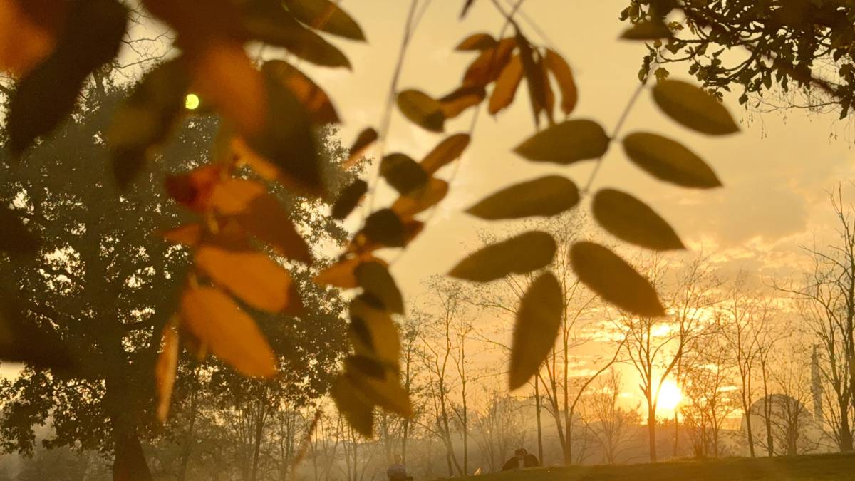 Sonbahar Güneşi Ağrı’da Vatandaşları Parklara Çekti