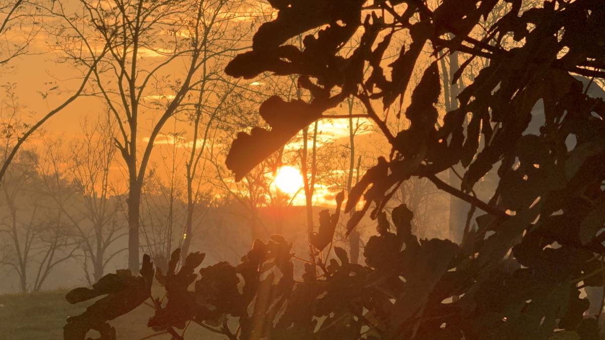 Sonbahar Güneşi Ağrı’da Vatandaşları Parklara Çekti