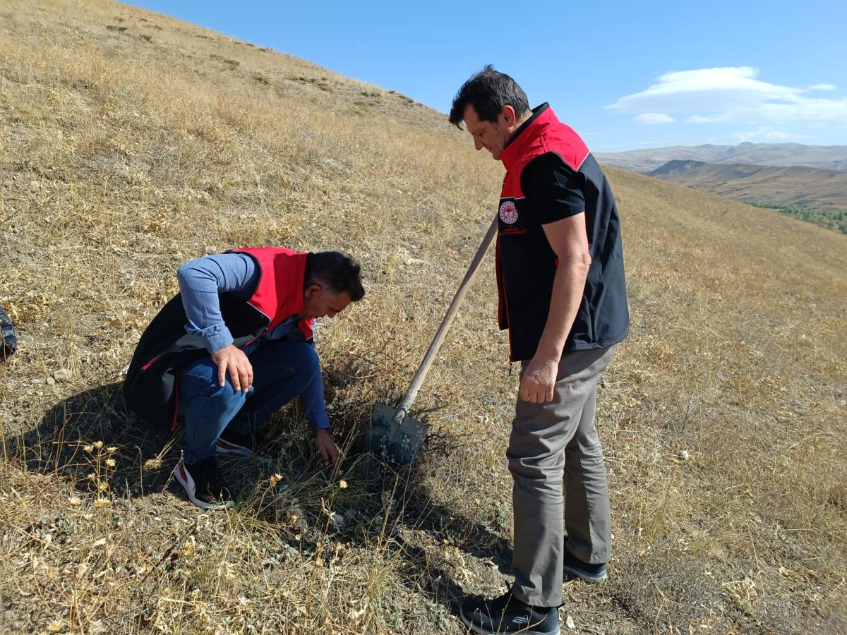 Ağrı’da Kışlamış Süne Surveyi Çalışmaları Başlatıldı